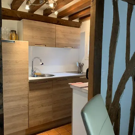 Les 4 Lions Duplex Chic Et Charme Apartment *