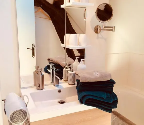 Les 4 Lions Duplex Chic Et Charme Apartment