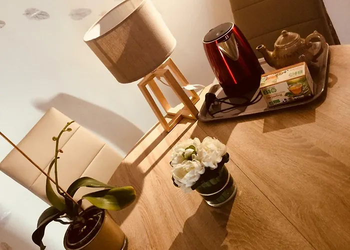 Les 4 Lions Duplex Chic Et Charme